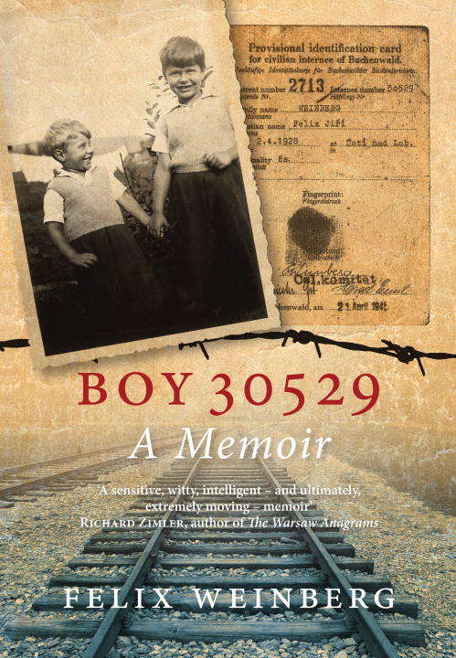 Book cover of Boy 30529