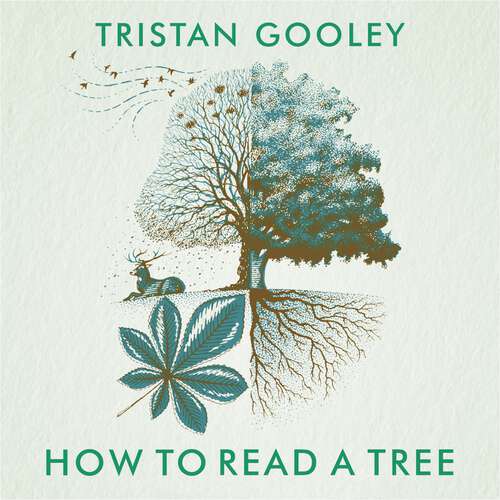 Book cover of How to Read a Tree: The Sunday Times Bestseller