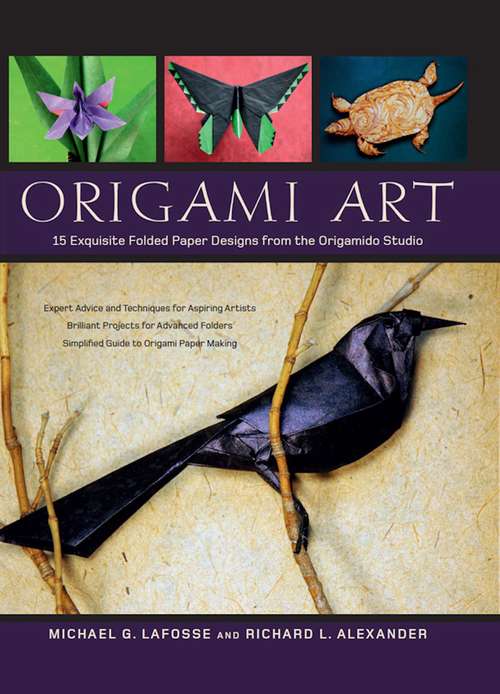 Book cover of Origami Art