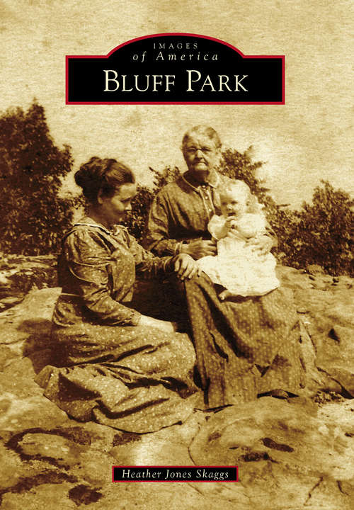 Book cover of Bluff Park (Images of America)