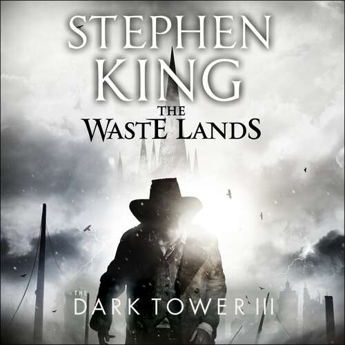 Book cover of The Dark Tower III: (Volume 3)