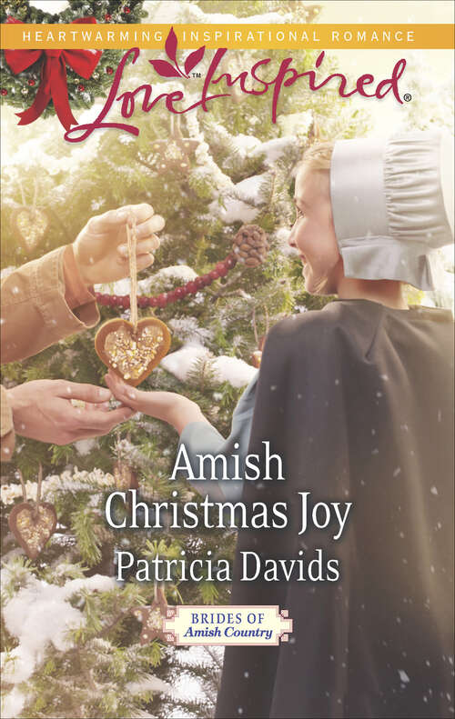 Book cover of Amish Christmas Joy