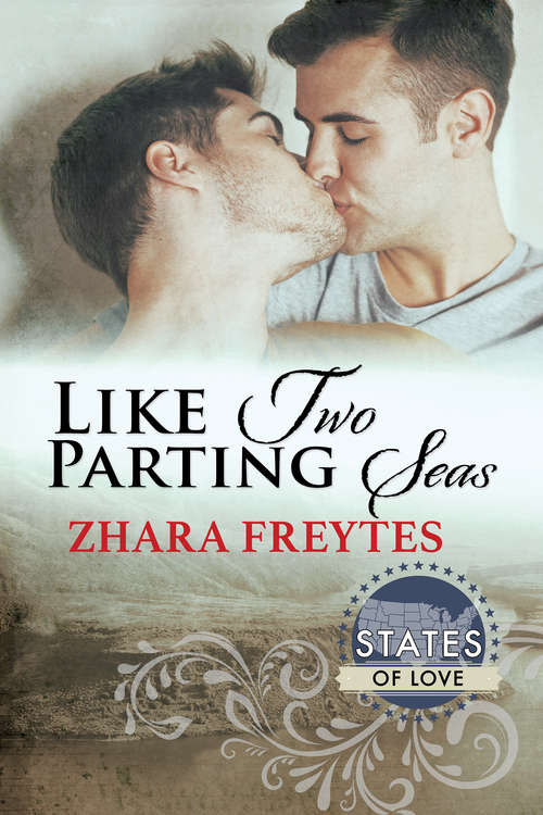 Book cover of Like Two Parting Seas