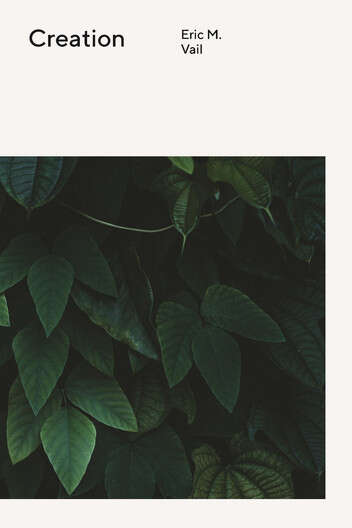 Book cover of TWTS-Creation