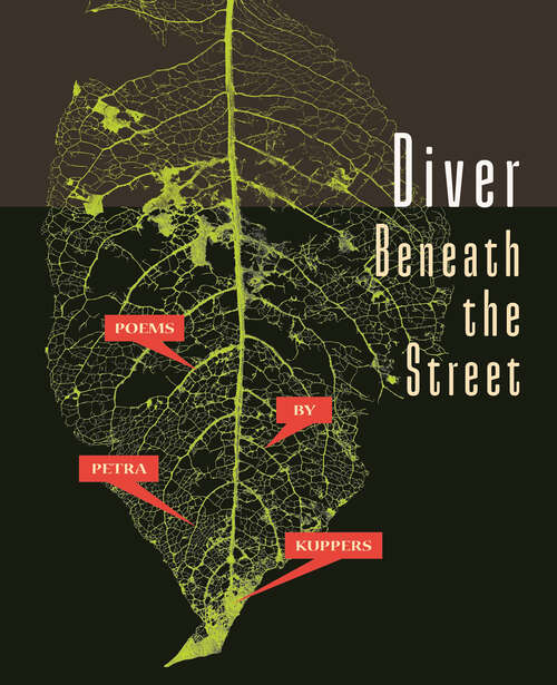 Book cover of Diver Beneath the Street (Made in Michigan Writers Series)