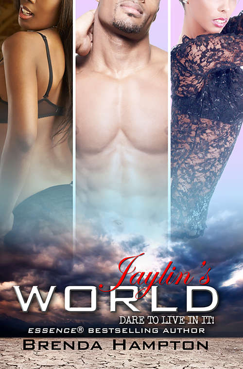 Book cover of Jaylin's World: Dare to Live in It