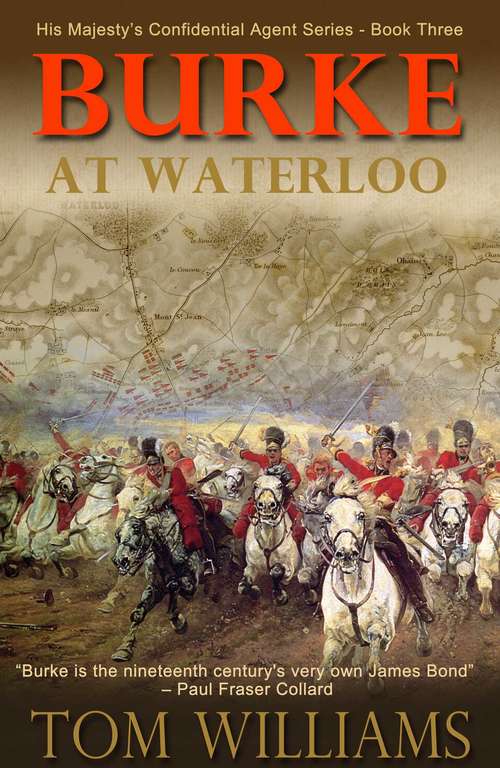 Book cover of Burke at Waterloo
