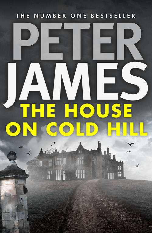 Book cover of The House on Cold Hill (Digital Original) (The Cold Hill Ghost Stories)