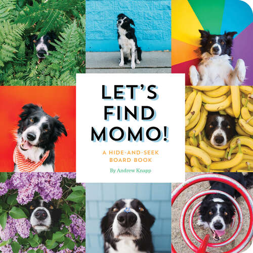 Book cover of Let's Find Momo!: A Hide-and-Seek Board Book (Find Momo #3)