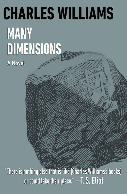 Book cover of Many Dimensions: A Novel