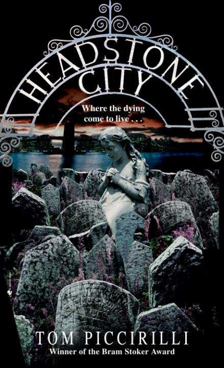 Book cover of Headstone City