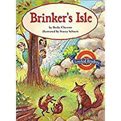 Book cover of Brinker's Isle [Grade 5]