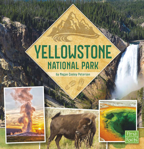 Book cover of Yellowstone National Park (U. S. National Parks Field Guides)