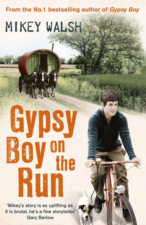 Book cover of Gypsy Boy on the Run