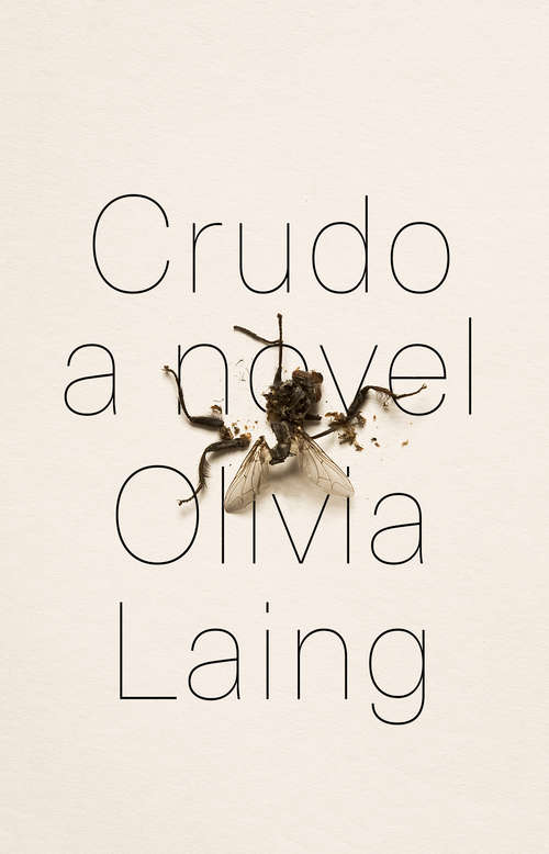 Book cover of Crudo: A Novel