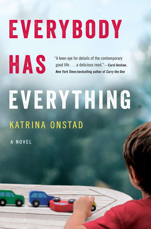 Book cover of Everybody Has Everything