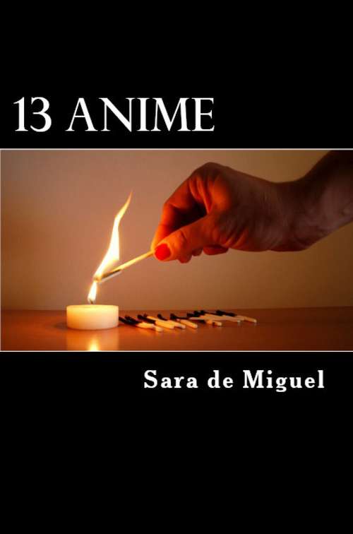 Book cover of 13 Anime