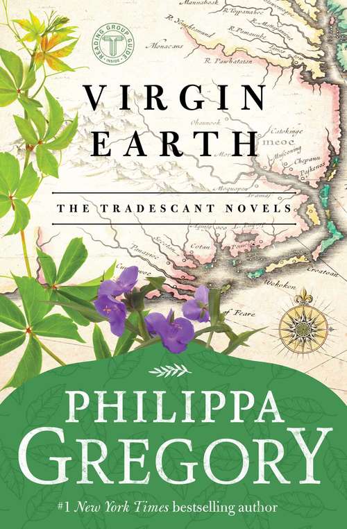 Book cover of Virgin Earth (Earthly Joys #2)