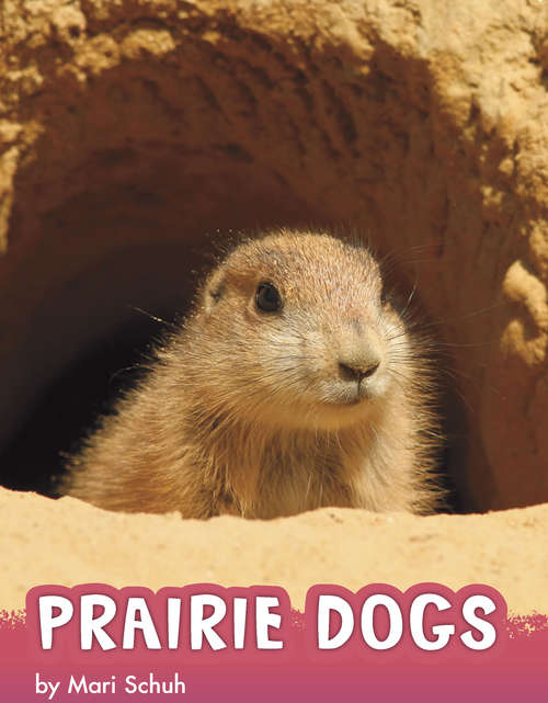 Book cover of Prairie Dogs (Animals)