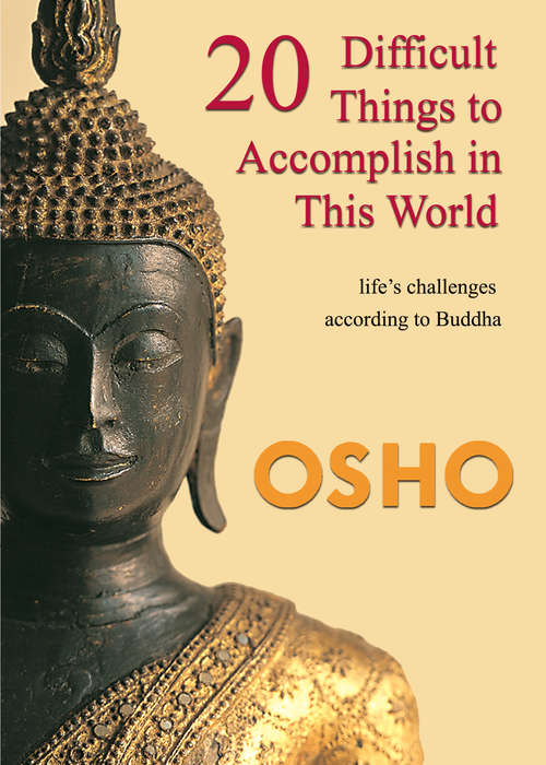 Book cover of 20 Difficult Things to Accomplish in this World