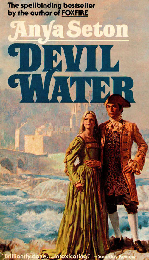 Book cover of Devil Water: A Novel
