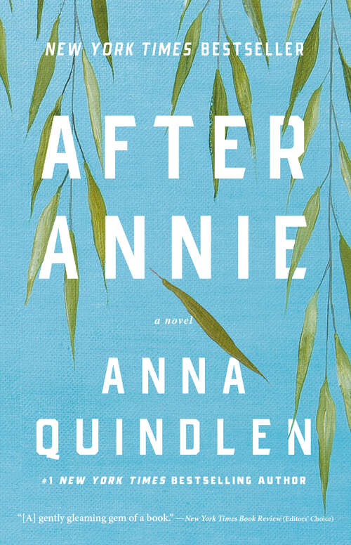 Book cover of After Annie: A Novel