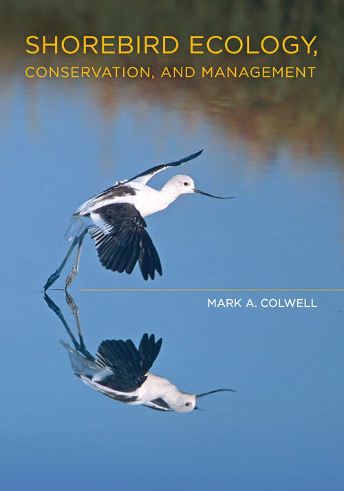 Book cover of Shorebird Ecology, Conservation, and Management