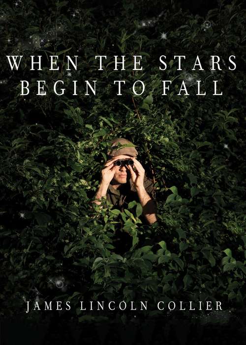 Book cover of When the Stars Begin to Fall