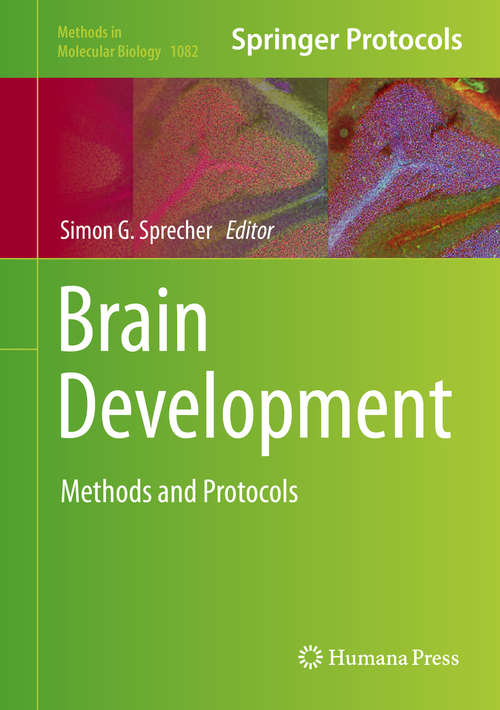 Book cover of Brain Development