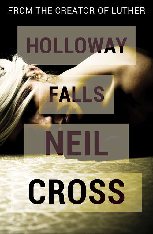 Book cover of Holloway Falls