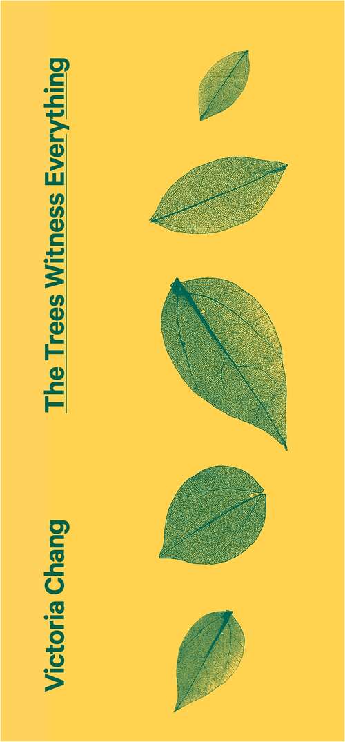 Book cover of The Trees Witness Everything