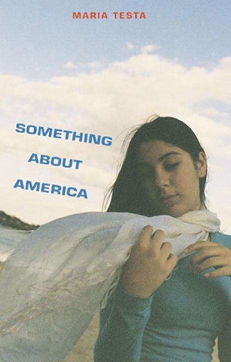 Book cover of Something About America