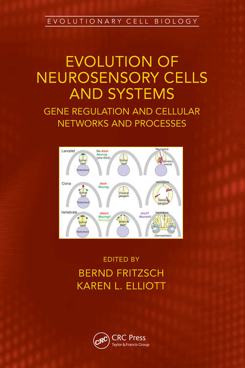 Book cover of Evolution of Neurosensory Cells and Systems: Gene regulation and cellular networks and processes (Evolutionary Cell Biology)