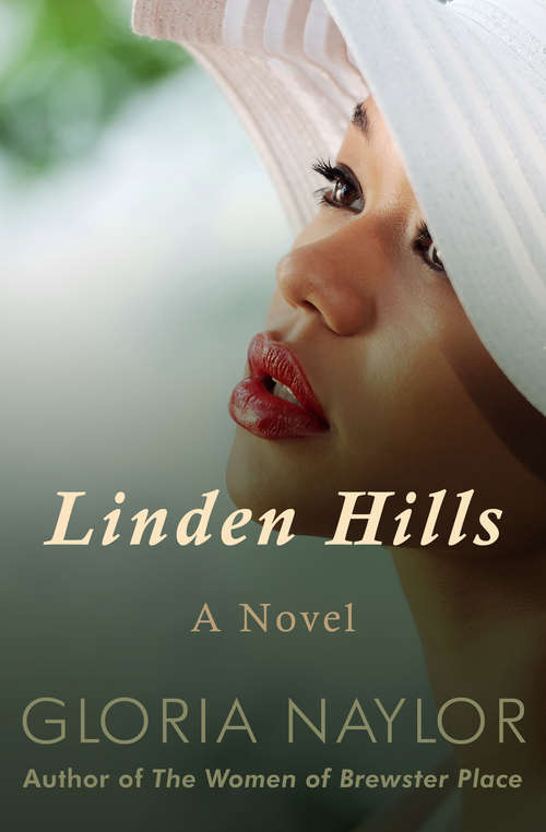 Book cover of Linden Hills: A Novel