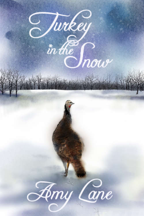 Book cover of Turkey in the Snow