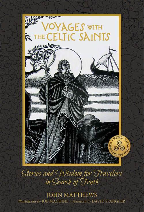 Book cover of Voyages with the Celtic Saints: Stories and Wisdom for Travelers in Search of Truth