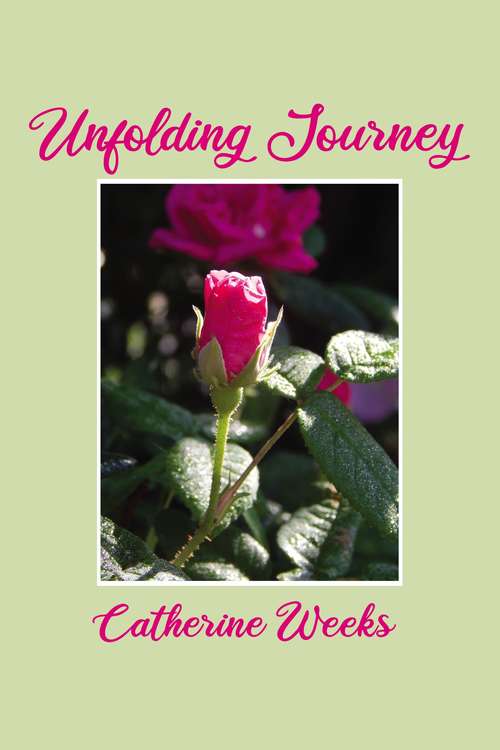 Book cover of Unfolding Journey