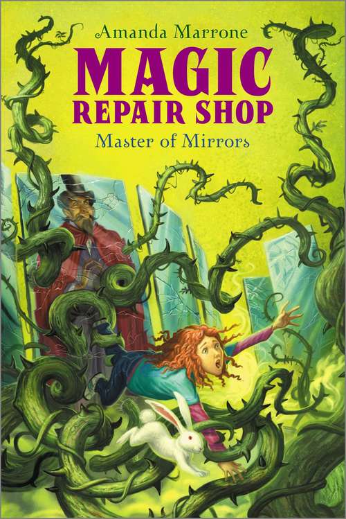 Book cover of Master of Mirrors