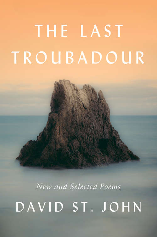 Book cover of The Last Troubadour: New and Selected Poems