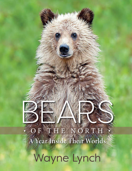 Book cover of Bears of the North: A Year Inside Their Worlds