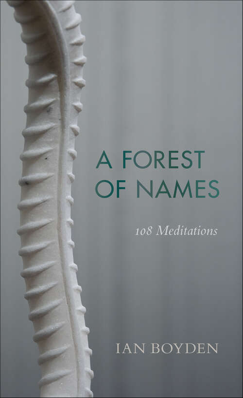 Book cover of A Forest of Names: 108 Meditations (Wesleyan Poetry Series)