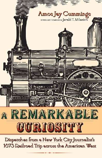 Book cover of A Remarkable Curiosity