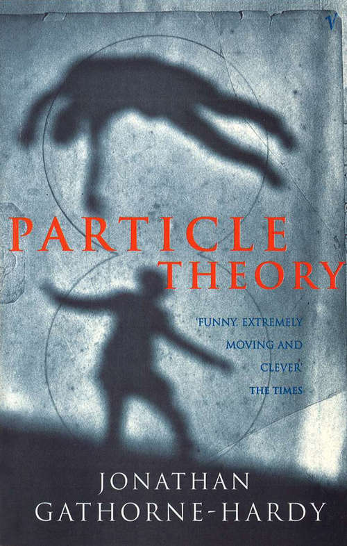 Book cover of Particle Theory: A Novel