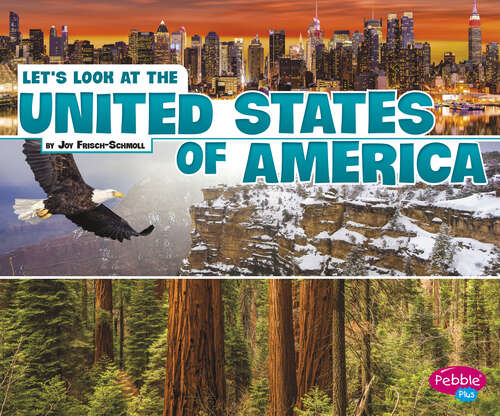 Book cover of Let’s Look at the United States of America (Let's Look At Countries Ser.)