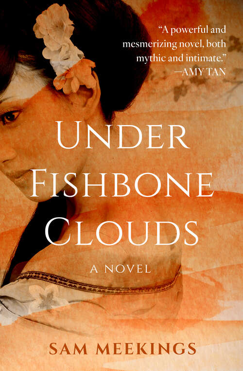 Book cover of Under Fishbone Clouds: A Novel