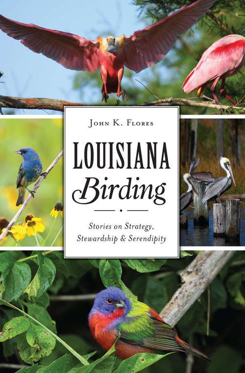 Book cover of Louisiana Birding: Stories on Strategy, Stewardship & Serendipity (Natural History)