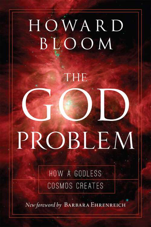 Book cover of God Problem: How a Godless Cosmos Creates