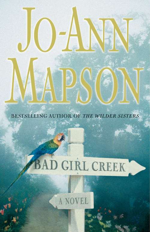 Book cover of Bad Girl Creek