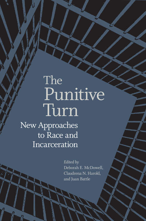 Book cover of The Punitive Turn: New Approaches to Race and Incarceration (Carter G. Woodson Institute Series)
