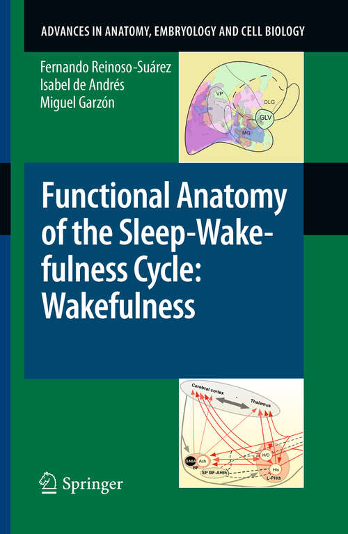 Book cover of Functional Anatomy of the Sleep-Wakefulness Cycle: Wakefulness